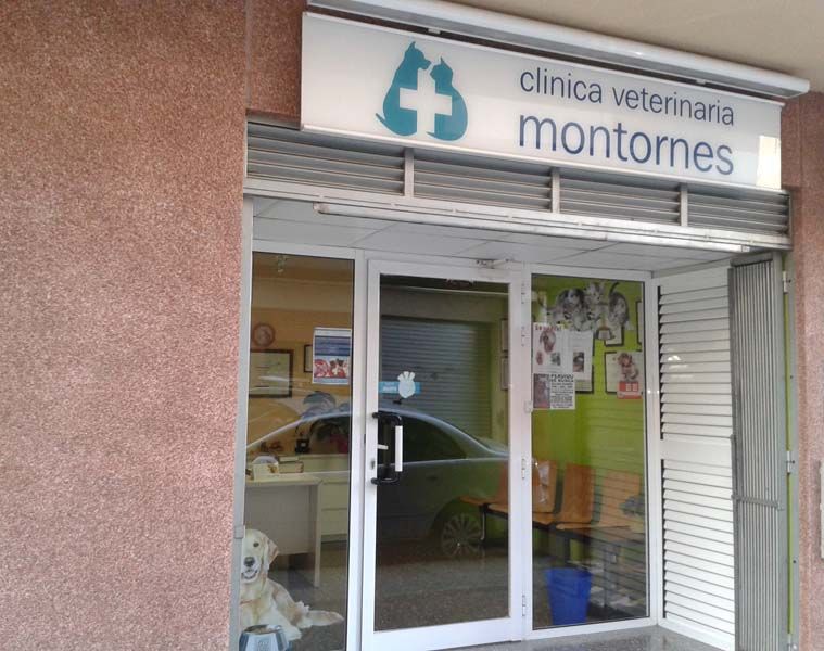 Clínica Veterinaria Montornes instalaciones 4